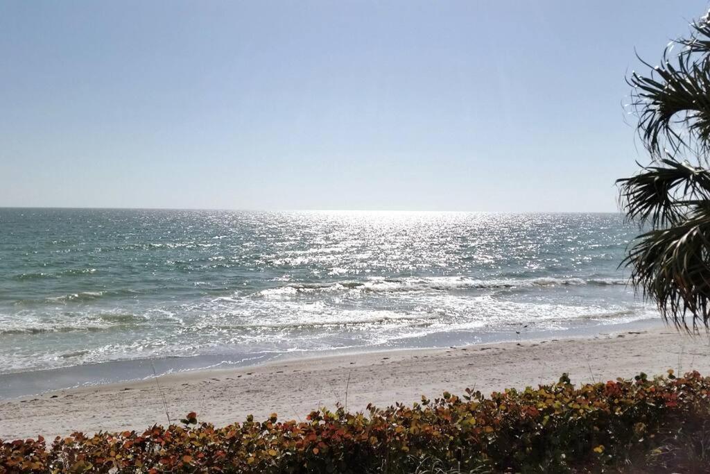 Irb Surf House Waterfront Oasis+ Sunshine +Fun Kayaks Clearwater Beach Exterior foto
