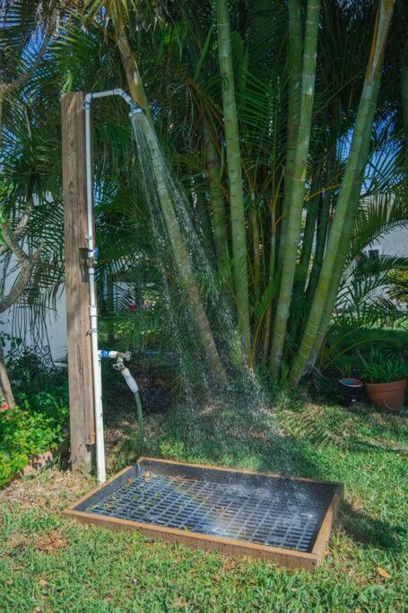 Irb Surf House Waterfront Oasis+ Sunshine +Fun Kayaks Clearwater Beach Exterior foto