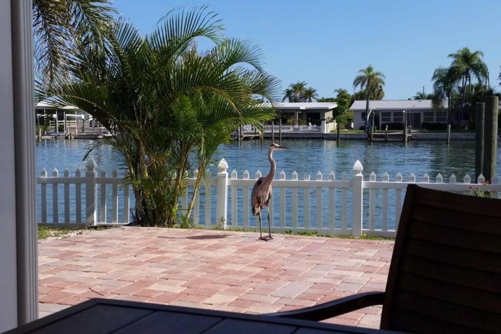 Irb Surf House Waterfront Oasis+ Sunshine +Fun Kayaks Clearwater Beach Exterior foto