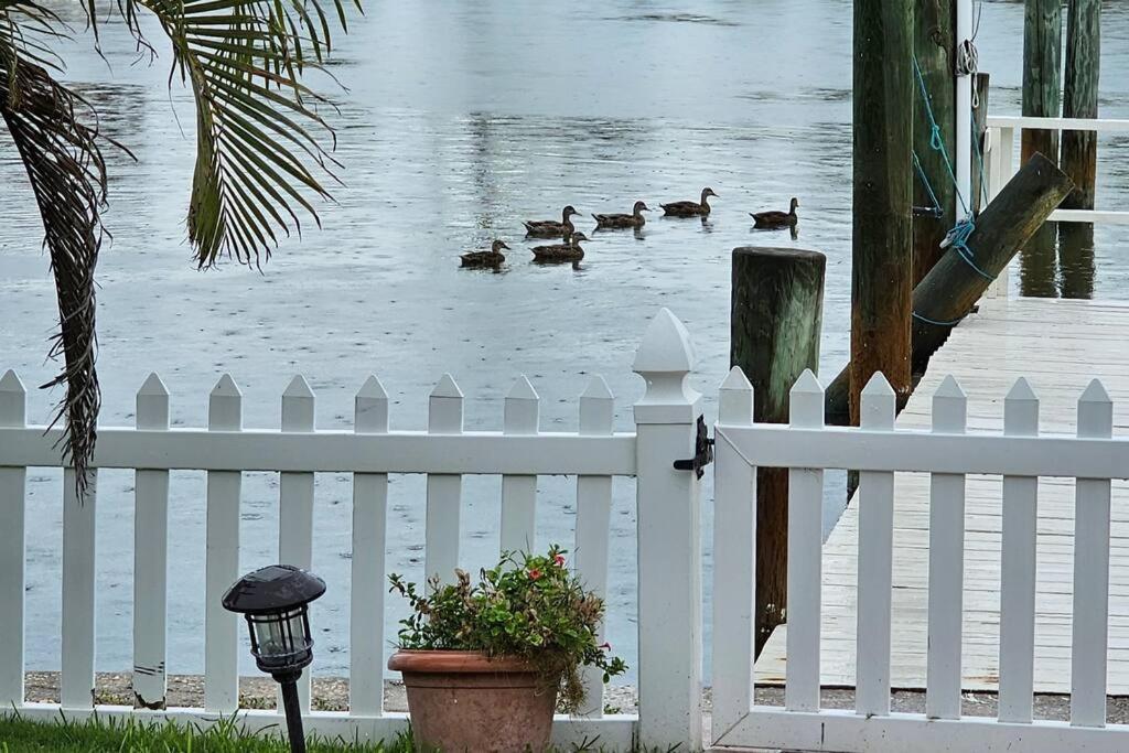 Irb Surf House Waterfront Oasis+ Sunshine +Fun Kayaks Clearwater Beach Exterior foto